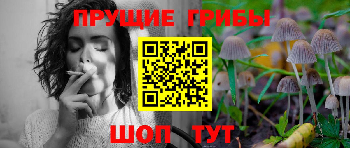 Галлюциногенные грибы Psilocybine cubensis Ишим