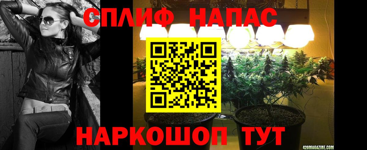 Бошки Шишки сатива Ишим